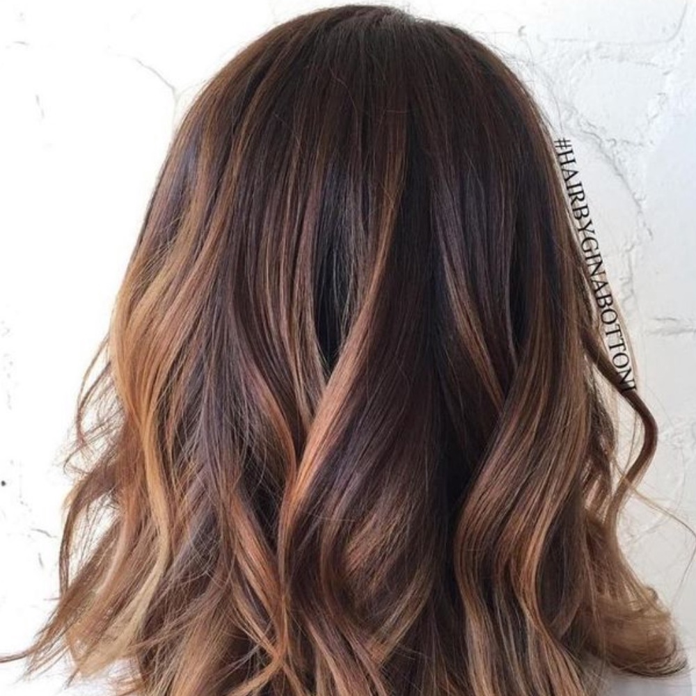 Meet your Posher, Dorothy